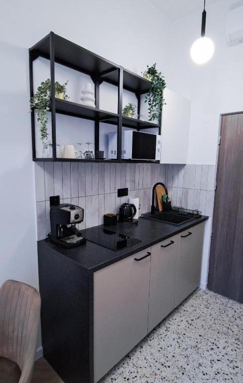 Lion Apartments - Premium Studio With Balcony Cracóvia Exterior foto